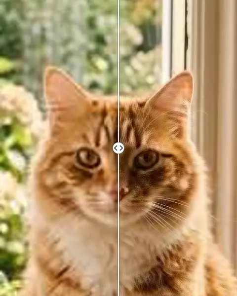 Left: the soft original. Right: the same frame after "Upscale to 4K", with sharper fur and whiskers.